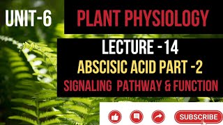 Lecture –14ABA Signaling pathway amp function csirnet msclifesciences msc net csirnetlifescience [upl. by Ehgit539]