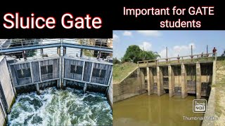 Sluice Gate  Fluid Mechanics [upl. by Thaddus260]