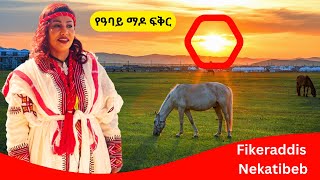 ደሞ በዚህ ሰሞን  Fikeraddis Nekatibeb  የዓባይ ማዶ ፍቅር [upl. by Nnyleuqcaj]