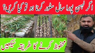 How to Cure and Store Garlic [upl. by Mayram535]