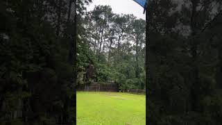 Stronger band from tropical storm Debbie in Statesboro Georgia [upl. by Eetnod751]