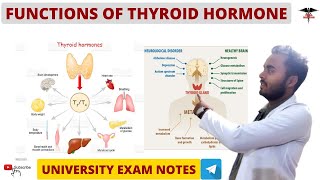 Functions Of Thyroid Hormone  Endocrine Physiology [upl. by Resarf]