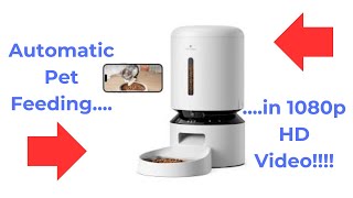 Petlibro granary automatic feeder smart feeding for your pets  Pet Feeding in 1080p HD Video [upl. by Prady560]