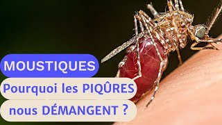 MOUSTIQUES  Pourquoi les PIQÛRES nous démangent  et comment les apaiser🦟🌿 [upl. by Avle389]