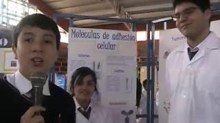 Feria científica IRM 2016 Moléculas de adhesión celular [upl. by Gilman]