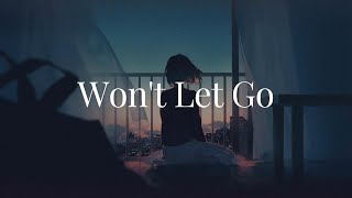 Wont Let Go  FiveFold  Lyrics [upl. by Salakcin]