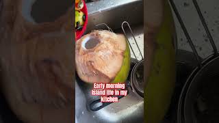 How my early morning kitchen sink says I live on an island cleantok oddlysatisfying asmrsound [upl. by Oletha]