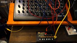 MONOTRON DELAY RESONANCE MOD  CV FOR FILTER TB 303 goes through the KORG MONOTRON MS 20 FILTER [upl. by Sivert]