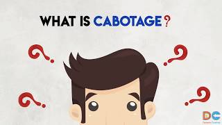 What is Cabotage [upl. by Oretos]