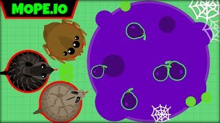 MOPEIO TROLLING ALL COBRA BOA AND SPIDERS  MOPEIO TROLLING  MopeioMOPEIO UPDATE [upl. by Uzzi]