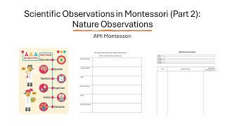 Scientific Observations Part 2 Nature Observations  Plant and Animal [upl. by Procto526]