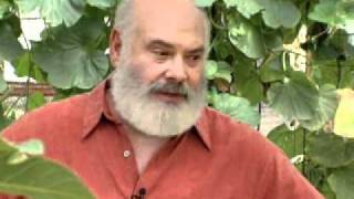 Top Supplements For Healthy Aging  Andrew Weil MD [upl. by Krause99]