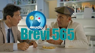 Mudù  Le Brevissime 565 [upl. by Alatea]