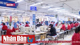 Xuất khẩu năm 2023 dự kiến đạt khoảng 354  355 tỷ USD  Nhịp sống kinh tế [upl. by Gan]