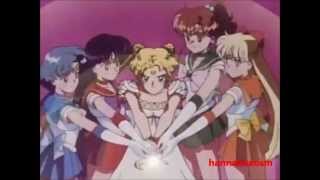 fan made sailor moon intro [upl. by Irik288]