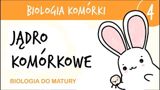 Cytologia 4  Jądro komórkowe  biologia rozszerzona matura liceum przygotowanie do matury z biologi [upl. by Einrae]