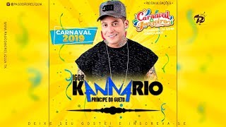 IGOR KANNÁRIO AO VIVO NO CARNAVAL DE JUAZEIRO  BA 2019 [upl. by Ennylhsa576]