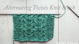 FREE Washcloth Knitting Pattern [upl. by Naoh646]