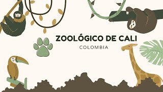 Zoológico de Cali [upl. by Gschu]