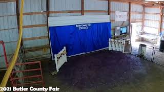 2021 Butler County Fair  4H and FFA Poultry Show [upl. by Anirtruc208]