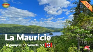 Canada Quebec La Mauricie National Park Scenic Walking Tour  La Mauricie National Park  4K 60fps [upl. by Sivatnod465]