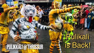 🐯 Pulikkali is Back 🔥 Pulikali Thrissur Tiger Dance 🔥 kerala onam thrissur pulikali [upl. by Holmes]