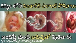 How to identify pregnancy baby nutrition telugu nutrition guide 2019 [upl. by Lipman371]