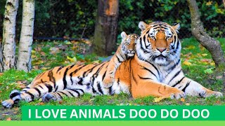 I Love Animals Doo doo dooLoolo kidsKids songsrhymes [upl. by Ly]