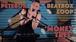 THePETEBOX  Money Tree  Beatbox Loop Pedal [upl. by Erasmo]