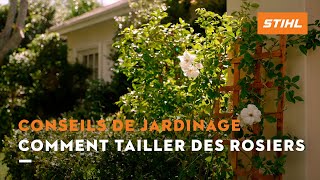 Comment tailler des rosiers   Conseils de jardinage STIHL [upl. by Gretna]