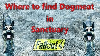 Dogmeat location in Sanctuary Hills Fallout 4 [upl. by Issac]