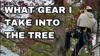 How I Organize My Petzl Sequoia Harness  Arborist Tree Climbing Gear [upl. by Brufsky]