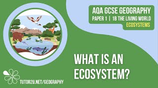 What is an Ecosystem  AQA GCSE Geography  Ecosystems 1 [upl. by Rocray]