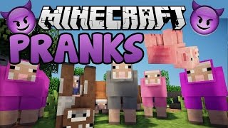 Upside Down Rainbow Pets  Fun Minecraft Pranks [upl. by Frost]