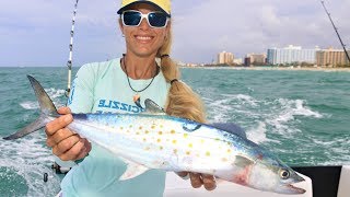 Deep Sea Fishing for SPANISH MACKEREL amp More [upl. by Assin966]