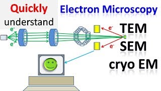 Electron microscope  TEM  SEM  Cryo EM [upl. by Cyprian815]