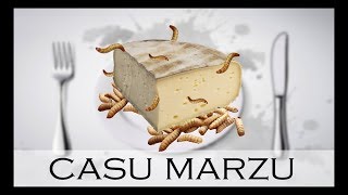 LE CASU MARZU  LE FROMAGE AUX ASTICOTS  À Votre Table 4 [upl. by Cynthia989]