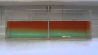 Ocean Current Salinity Experiment [upl. by Harahs]