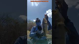 1° Captura Aventura de Pescaria no 1º Encontro de Caiaque 🎣 fishing [upl. by Thoer]