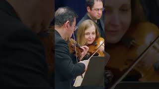 Dramatic Symphony by Carl Philipp Emanuel Bach 🥰🎵 bach orchestra concert violin [upl. by Opalina]