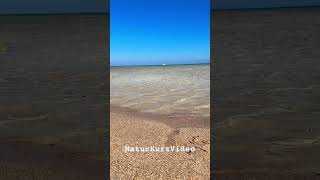 Ägypten Rotes Meer Meeresrauschen shorts beach nature redsea travel relaxing [upl. by Orenid]