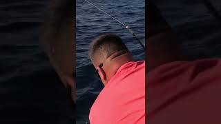 Ce SAILFISH navais pas dit son dernier mot une fois au bord du bateau sailfish fishing [upl. by Theadora]