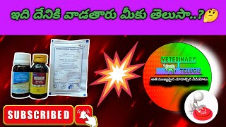 Piperazine use and dosage by veterinary telugu veterinarymedicine veterinary piperazne deworming [upl. by Retsehc]