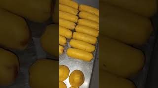 Olha a coxinha 🍗🍗 vlogger padeiro panificação coxinhas nordestinos saomateus bairros fé paz [upl. by Immaj]