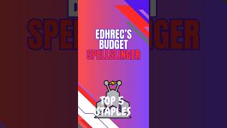 EDHrec’s Top 5 Budget Spellslinger Staples budgetmtg mtg theme [upl. by Masha]