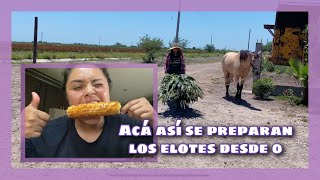 TODO EL PROCESO PARA COMER UNOS ELOTES COCIDOS  PREPARADOS DESDE 0  RECETA DE CHILITO PARA ELOTES [upl. by Drahnreb]