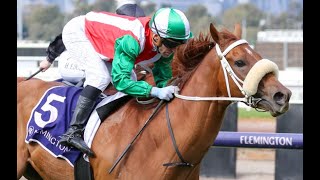 Flemington  2024 FINALS DAY PREVIEW CRACKER OF A CARD [upl. by Olivia]