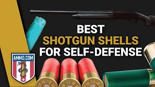 The Best Shotgun Shells for Home Defense Defend Your Castle [upl. by Atir854]