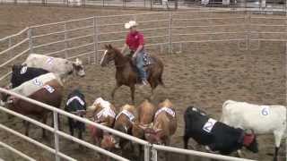 Ken McNabb Episode 326 Ranch Sorting at the Powderhorn Pt 1 [upl. by Micah]