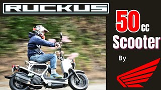 Honda Ruckus Review [upl. by Fitton]